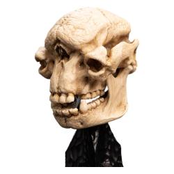 El Señor de los Anillos Estatua Skull of a Cave Troll 21 cm