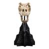 El Señor de los Anillos Estatua Skull of a Fell Beast 21 cm