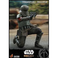 Star Wars The Mandalorian Figura 1/6 Transport Trooper 31 cm