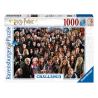 Harry Potter Challenge Puzzle Cast (1000 piezas