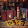 Maletin Escudo de Colores Harry Potter