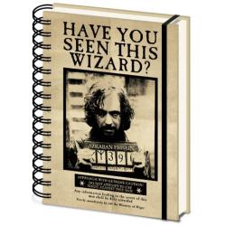 Cuaderno A5 lenticular Carteles Harry &#38; Sirus Harry Potter