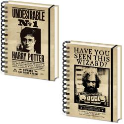Cuaderno A5 lenticular Carteles Harry &#38; Sirus Harry Potter