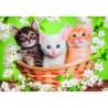 Puzzle Hermanos de Piel 2x60pzs