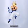 Figura Super Gogeta 10th Anniversary Dragon Ball Z Dokkan Battle 19cm