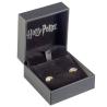 Pendientes Golden Snitch plata