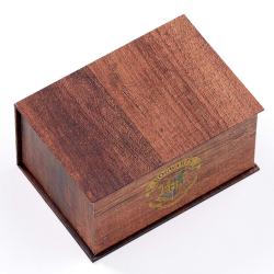 Set Colgante + pendientes Harry Potter