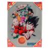 Poster cristal personajes Dragon Ball