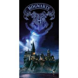 Poster cristal Hogwarts Harry Potter
