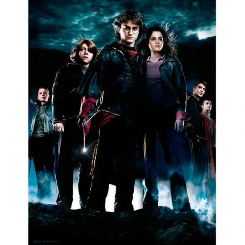 Poster cristal Grupo Harry Potter
