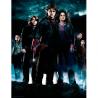 Poster cristal Grupo Harry Potter