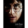 Poster cristal Harry Potter