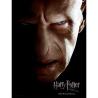 Poster cristal Voldemort Harry Potter