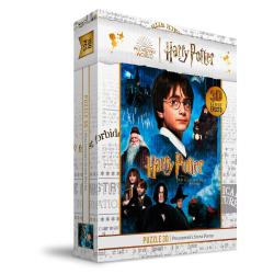 Puzzle Efecto 3D Piedra Filosofal Harry Potter 100pzs