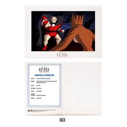 The New Batman Adventures DC Multiverse McFarlane Collector Edition Figuras Wave 5 18 cm Surtido (6