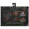 Accesorios Alien Romulus 10pzs