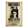 Poster Indeseable Numero 1 Harry Potter