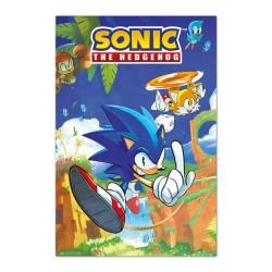 Poster Sonic &#38; Tails Sonic The Hedgehog