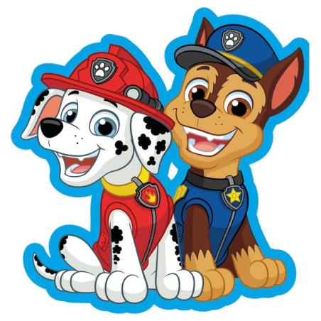 Cojin 3D Patrulla Canina Paw Patrol