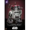 Star Wars Figura Set 1/6 Chopper (C1-10P&trade;) & BD-1&trade; (Imperial Disguise) 18 cm & 8 cm