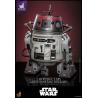 Star Wars Figura Set 1/6 Chopper (C1-10P&trade;) & BD-1&trade; (Imperial Disguise) 18 cm & 8 cm