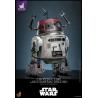 Star Wars Figura Set 1/6 Chopper (C1-10P&trade;) & BD-1&trade; (Imperial Disguise) 18 cm & 8 cm