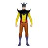 DC Retro Figuras 15 cm Wave 13 Super Friends Sortiment (6