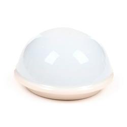 Taza con tapa te con Burbujas Foodiemals Boba 300ml