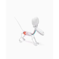 Funny Anatomy Honey Edition Balloon Dog Statue