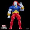 Blister 2 figuras Starfox & Champion of the Universe Marvel Legends Series 15cm