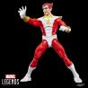 Blister 2 figuras Starfox & Champion of the Universe Marvel Legends Series 15cm