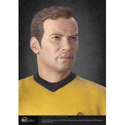 Star Trek Estatua Musuem 1/3 Captain James T Kirk 64 cm
