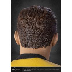 Star Trek Estatua Musuem 1/3 Captain James T Kirk 64 cm