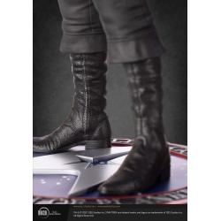 Star Trek Estatua Musuem 1/3 Captain James T Kirk 64 cm