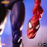 Spider-Man Figura 1/6 Spider-Man 30 cm