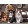 Puzzle Lovely Kittens 1000pzs