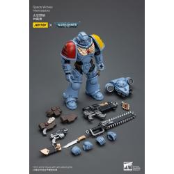 Warhammer 40k Figura 1/18 Space Wolves Intercessors 12 cm