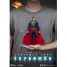 Superman (2025) Figura Superman & Krypto 21 cm
