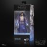 Star Wars: Obi-Wan Kenobi Black Series Figura Qui-Gon Jinn (Force Spirit) 15 cm