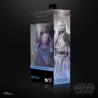 Star Wars: Obi-Wan Kenobi Black Series Figura Qui-Gon Jinn (Force Spirit) 15 cm