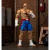 Ultra Street Fighter II: The Final Challengers Figura 1/12 Sagat 19 cm