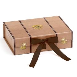 Caja regalo Maleta Harry Potter S