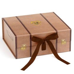 Caja regalo Maleta Harry Potter M