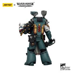 Warhammer 40,000: Sons of Horus Figura Legion Apothecary 12 cm