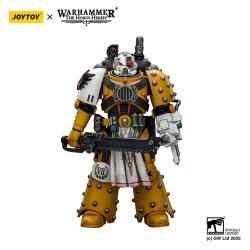 Warhammer 40,000: imperial Fists Figura Legion Apothecary 12 cm