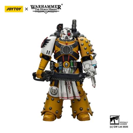 Warhammer 40,000: imperial Fists Figura Legion Apothecary 12 cm