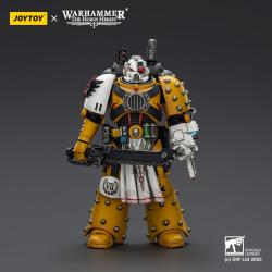 Warhammer 40,000: imperial Fists Figura Legion Apothecary 12 cm