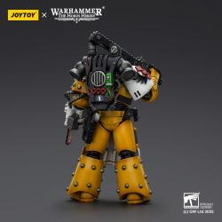 Warhammer 40,000: imperial Fists Figura Legion Apothecary 12 cm