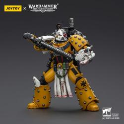 Warhammer 40,000: imperial Fists Figura Legion Apothecary 12 cm