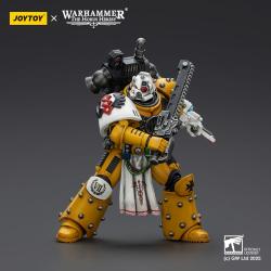 Warhammer 40,000: imperial Fists Figura Legion Apothecary 12 cm